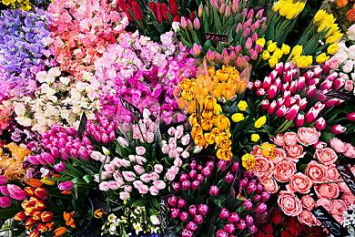 传言称任天堂新主机将不会是NS正统后继机型