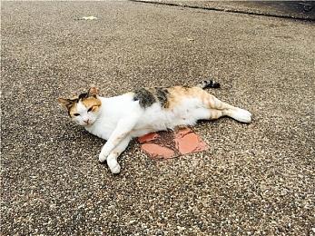 太空FPS《边境》新品节预告 试玩Demo 2月21日上线