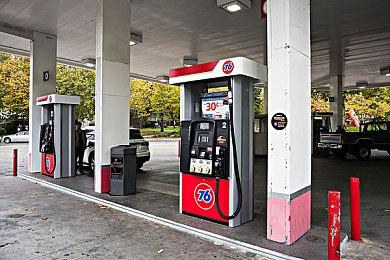 学园恋爱喜剧ADV游戏《Primal Hearts》Steam页面上线 支持繁体中文